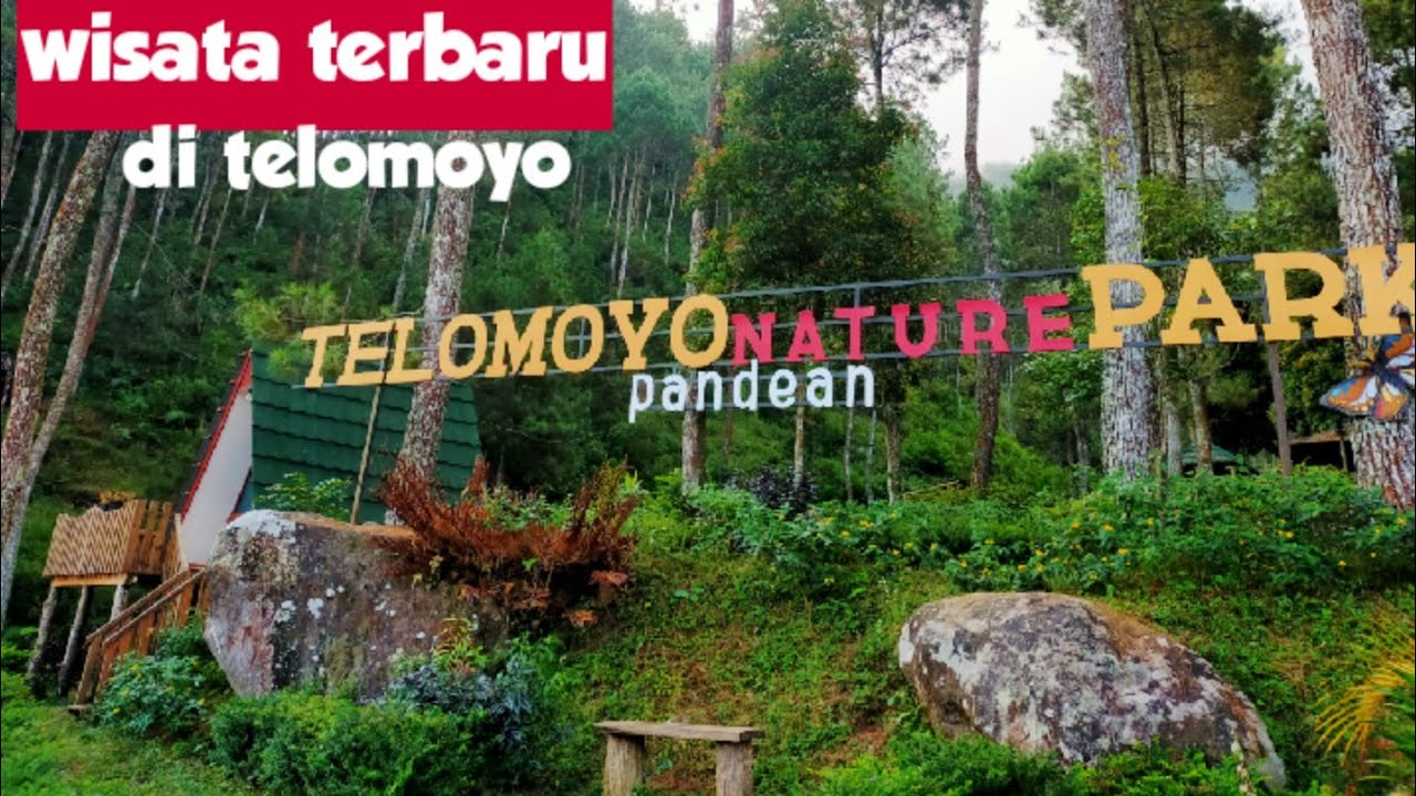 Telomoyo Nature Park: Destinasi Liburan Menakjubkan di Lereng Gunung